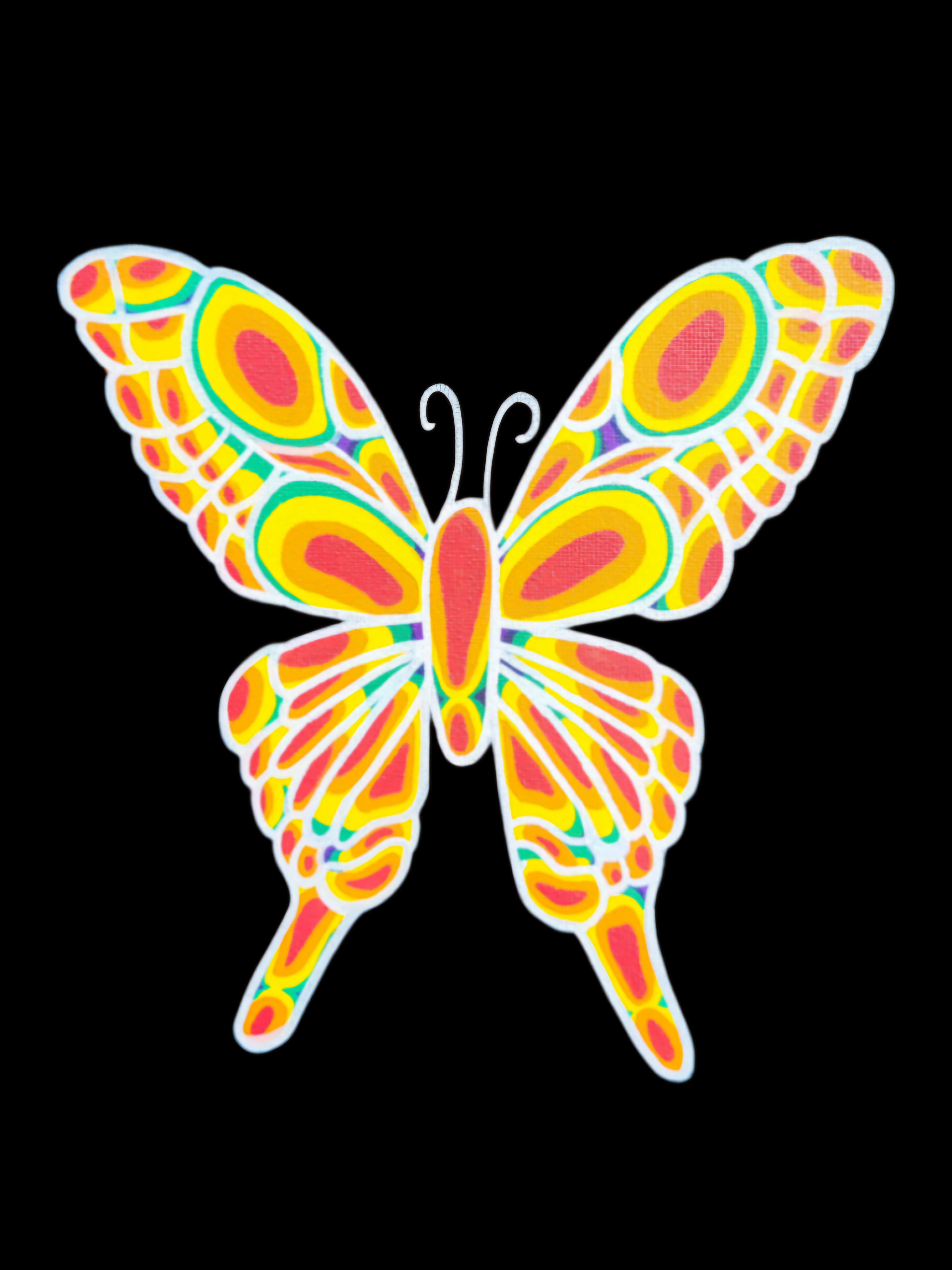 "Themal Butterfly" Print